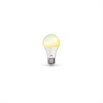 Ampoule intelligente DEL, 9 watts, format A19, CCT et couleur ajustable